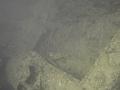 Thistlegorm (40)